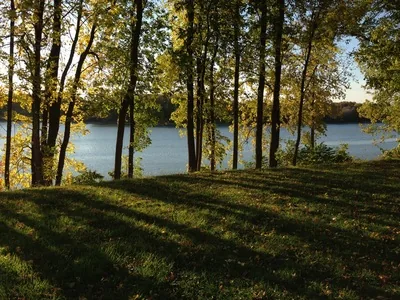 Vue paisible de la rivière Richelieu à travers des arbres feuillus.
